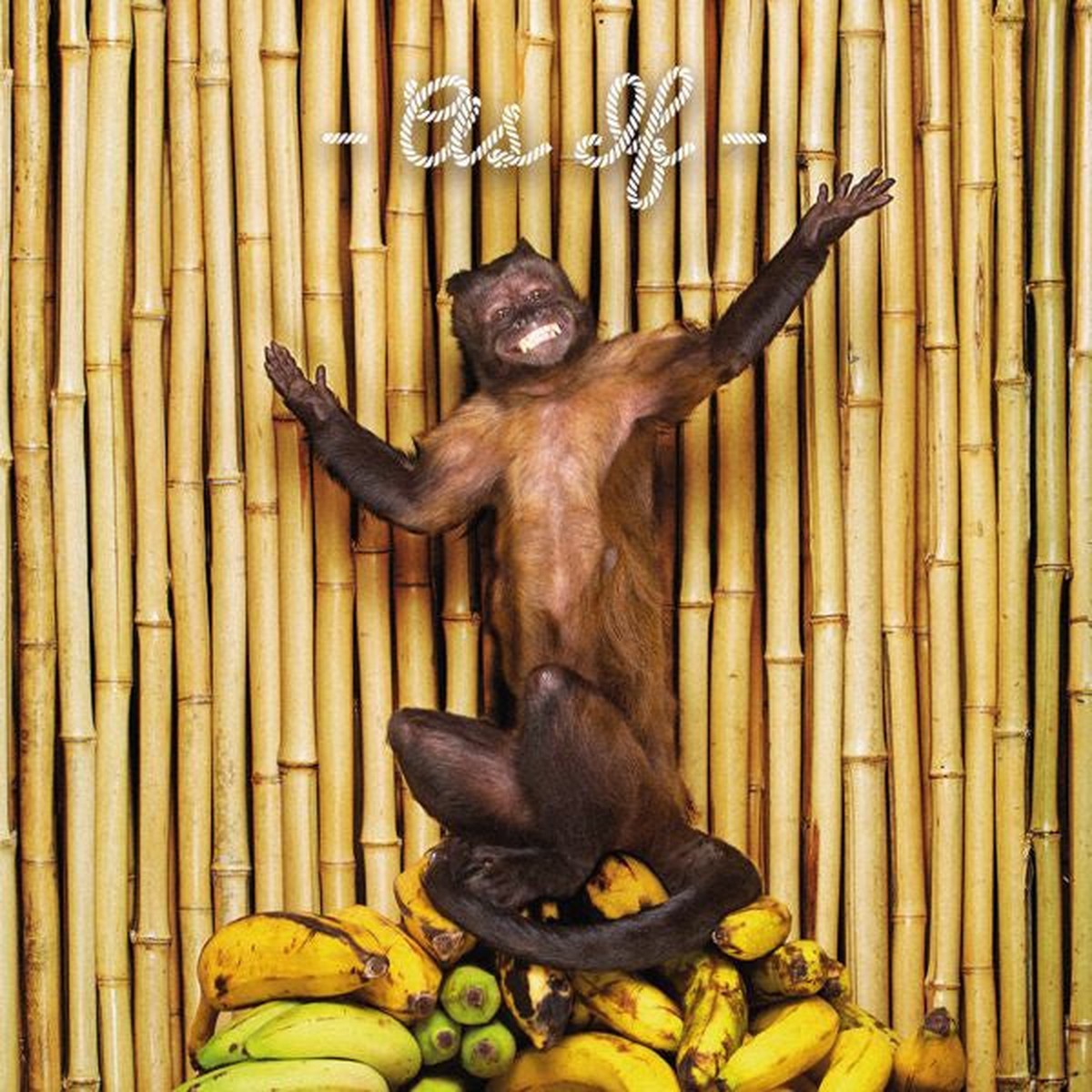 !!! As If (Secondhand Vinyl)