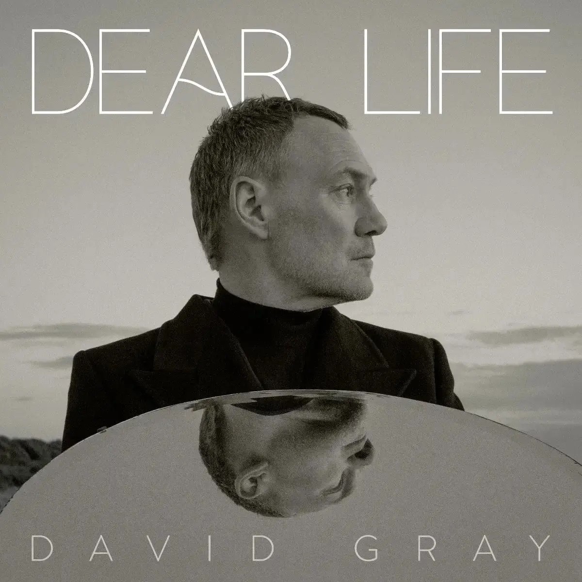 David Gray - Dear Life (2LP) (Green Vinyl)
